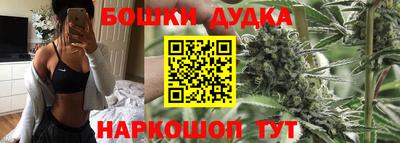 бошки Ставрополь