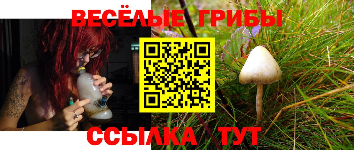 Галлюциногенные грибы мухоморы  Вход с VPN  Новодвинск 